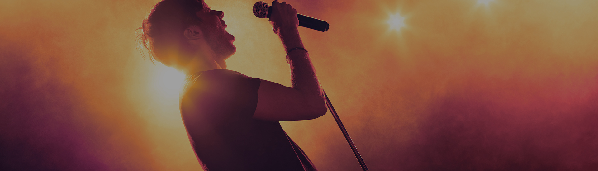 Perfomance Venue Solutions
