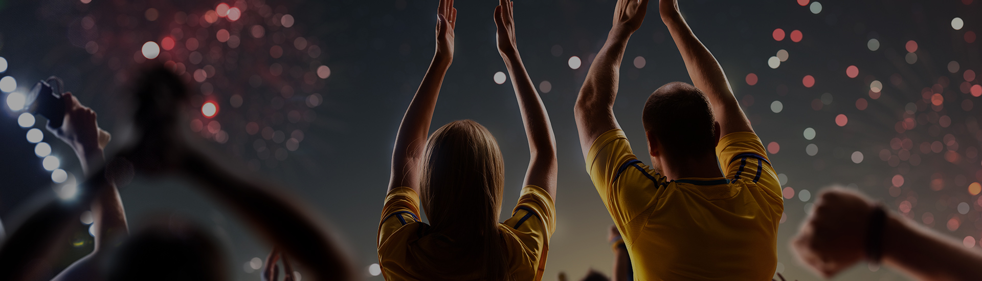 Sports Venue Solutions